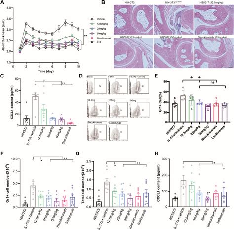 Hb0017 Alleviated Inflammation Induced By Il 17a In Vivo A Hb0017