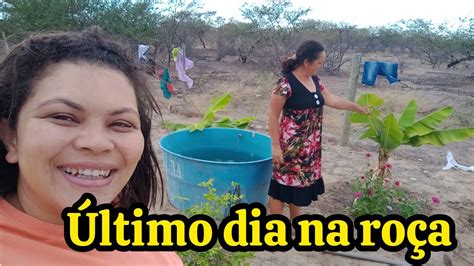 Dona de casa ROTINA NA ROÇA limpeza na piscina PRIMEIRA JABUTICABA Que