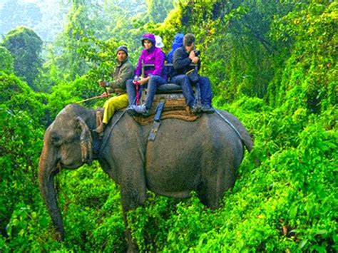 Wildlife Tourism Travelsmart Holidays