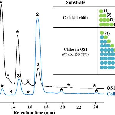 HPAEC PAD Analyses Chromatograms Of The 24 H Reactions Catalysed By