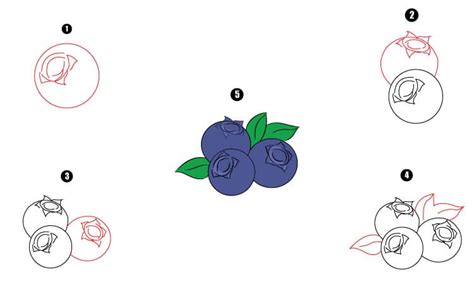 Blueberry Drawing Step By Step Tutorial Cool Drawing Idea