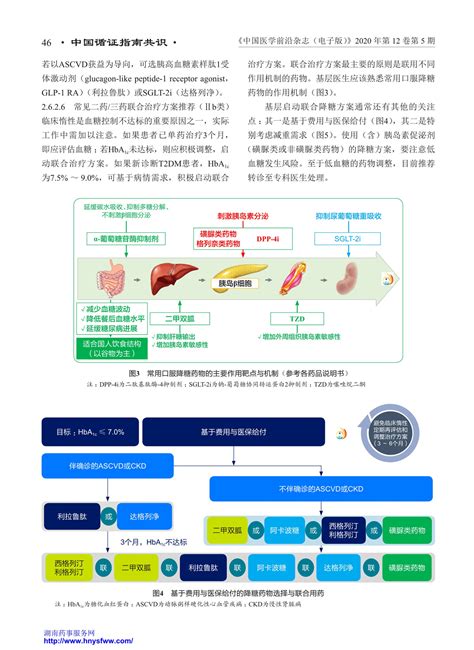 2型糖尿病分级诊疗与质量管理专家共识2020年 指南规范共识 药讯中心 湖南药事服务网