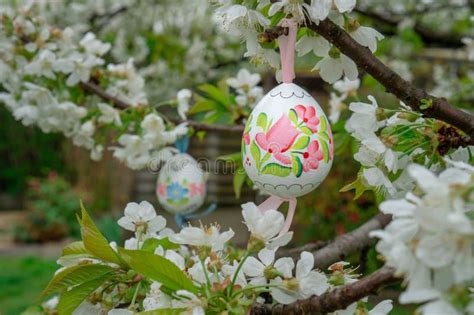 Huevo De Pascua Decorativo Que Cuelga En Cerezo De Florecimiento Con