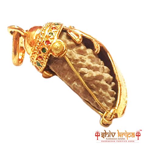 Ek Mukhi Rudraksha Pendant Half Moon Shape Lupon Gov Ph