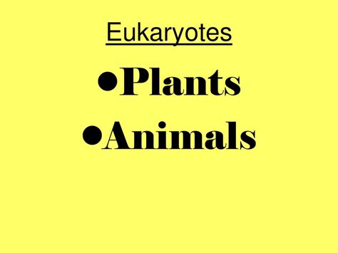 beginning cell notes