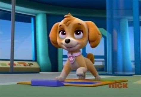 Pup Pup Boogie Skye By Connorneedham On Deviantart Skye Paw Patrol Paw Patrol Characters