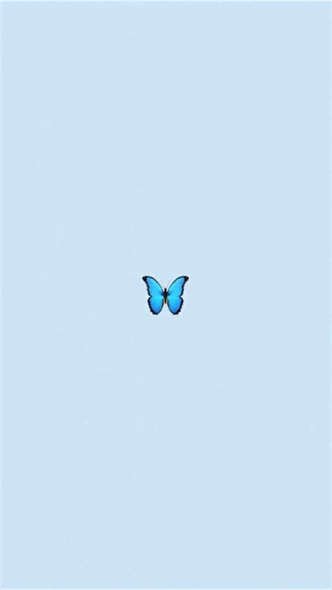 Blauer S Er Sthetischer Schmetterling Hd Handy Hintergrundbild Pxfuel