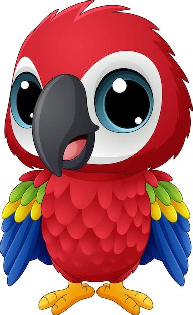 Premium Vector Cartoon Baby Macaw On White Background