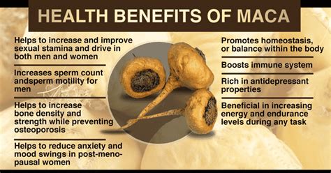 Maca Root The Inca Fountain Of Youth Andean Leaves