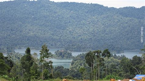 Projek Empangan Hidroelektrik Tasik Kenyir Hulu Terengganu Puah Dam