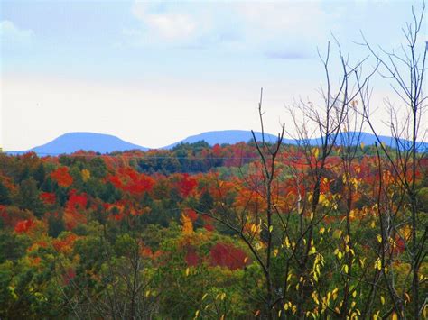 Partridge Run Game Management Area Maps Photos Videos Aerial