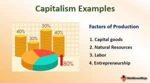 Capitalism (Definition, Examples) | Top 4 Practical Examples + Explanation