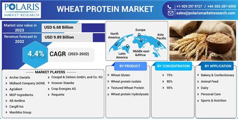 Wheat Protein Market Global Industry Report