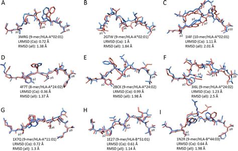 Reproduction Of Very Different Binding Modes In Blue Side View Of