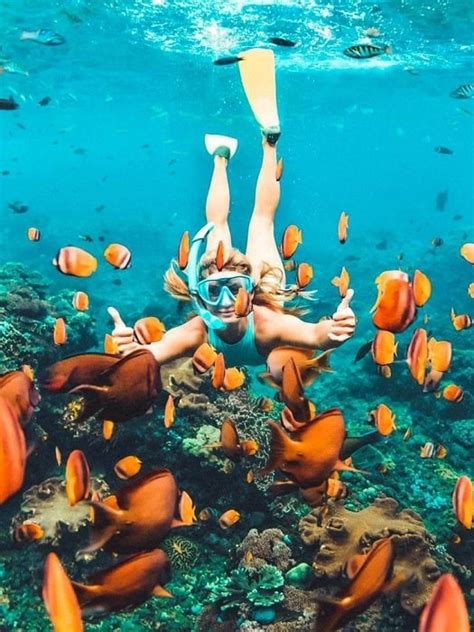 Snorkelling In Gran Canaria 2023 Prices Reviews Booking