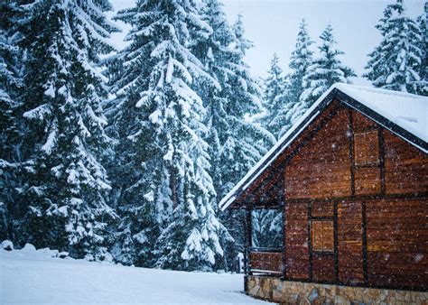 Closing Up The Cabin For Winter