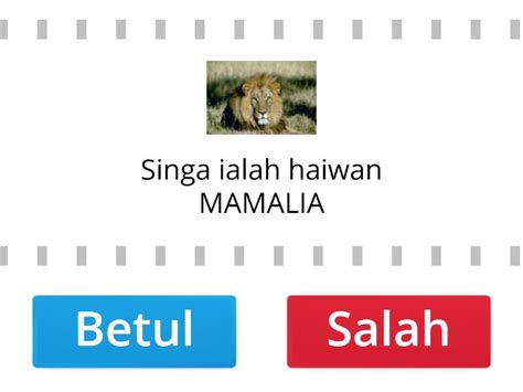 Pengelasan Haiwan Betul Atau Salah True Or False