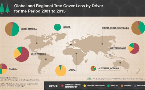 Global Forest Loss Whos In The Drivers Seat The Sustainability