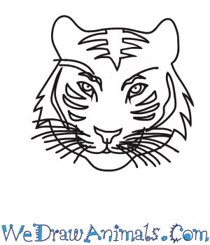 How to Draw a Tiger Head