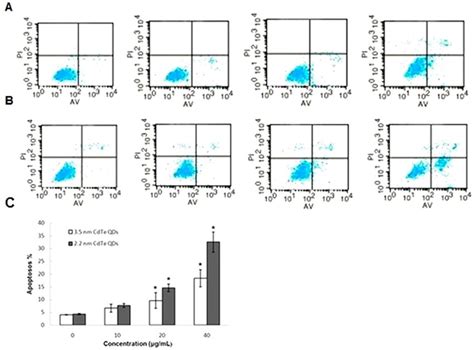 Annexin V Fitc Pi Double Staining Analysis Of Apoptosis In L Cells