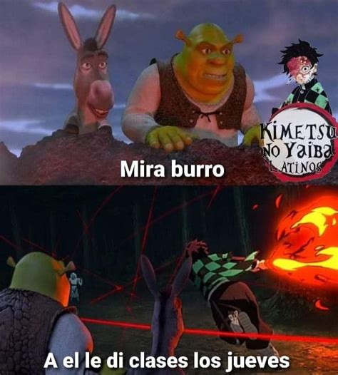 Pin De Alma Espadas En Demonslayer En Im Genes Divertidas Memes