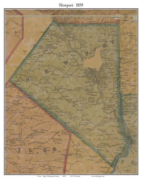 Newport, New York 1859 Old Town Map Custom Print - Herkimer Co. - OLD MAPS