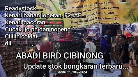 Update Stok Bongkaran Terbaru Abadi Bird Cibinong Sabtu