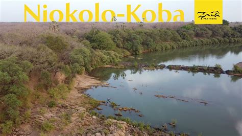 Conservation In Senegal S Niokolo Koba National Park Youtube