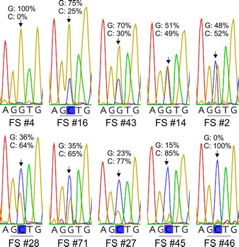 Examples Of Electropherograms Showing Different Height Ratios Between