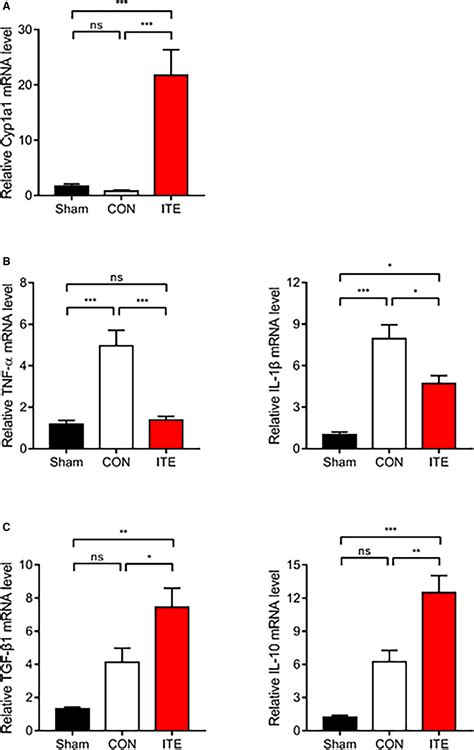 Activation Of Aryl Hydrocarbon Receptor By Ite Improves Cardiac