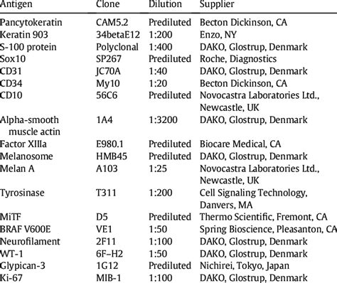 The Antibodies That Were Used For The Immunohistochemistry Download