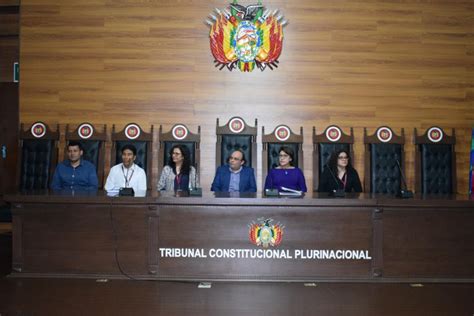 Tribunal Constitucional Plurinacional Tribunal Constitucional Plurinacional