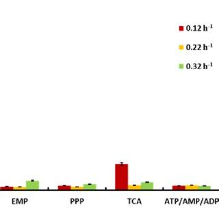 Carbon Flux Distribution At TCA Cycle And All Values Are Relative And