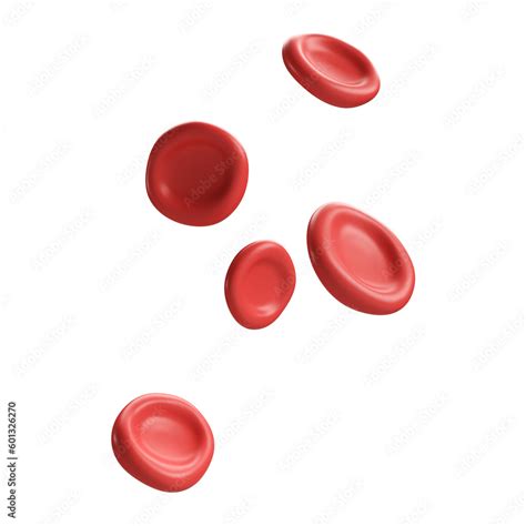 D Flow Red Blood Cells Iron Platelets Erythrocyte Anemia Realistic