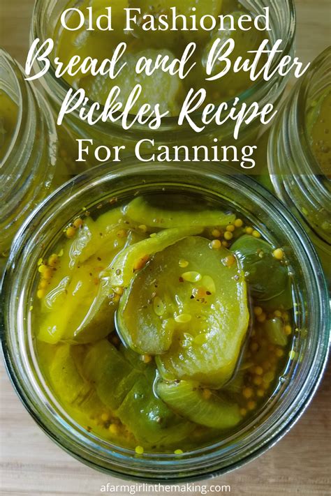 Old Fashioned Bread And Butter Pickles Recipe For Canning Recipe Pickling Recipes Pickle