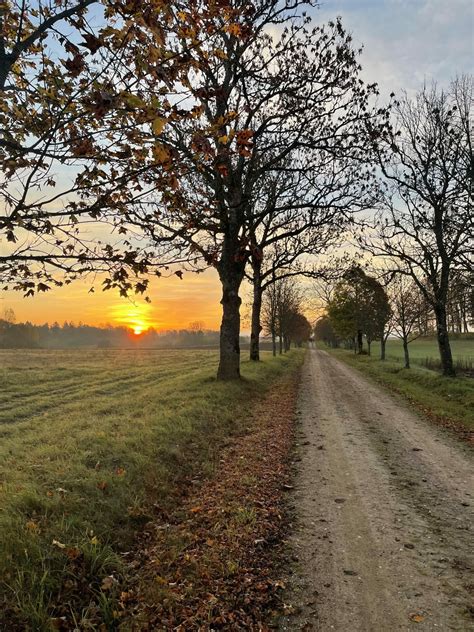 Camino Lituano Piligriminis Kelias Per Lietuv