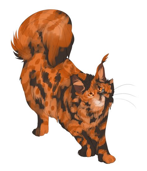 Poppydawn Tortoiseshell Warrior Cats Fan Art Warrior Cats Art