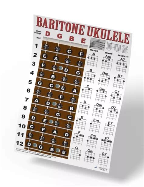 BARYTON UKULÉLÉ ACCORD frette tableau mural affiche accords uke DGBE