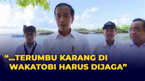 Jokowi Ingatkan Untuk Menjaga Terumbu Karang Di Wakatobi Jangan Sampai