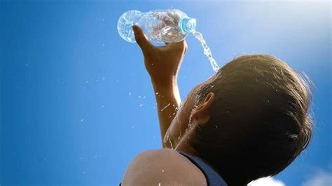 Experimentamos Las Olas De Calor M S Frescas Del Resto De Nuestras