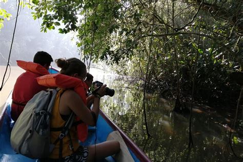 Tour to the Canals in Tortuguero National Park 2024