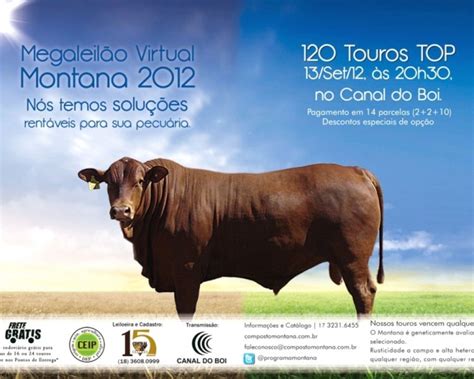 Criat Rio Calidad Participa Do Mega Leil O De Touros Montana Gen Tica