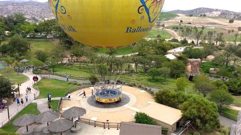 Baloon Ride At San Diego Safari Park Youtube