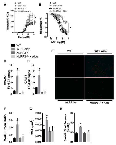 NlrP3 Is Involved In Aldosterone Aldo Induced Vascular Damage A