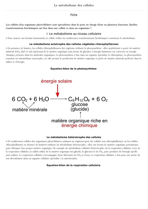 Nde Svt Le Metabolisme Des Cellules Le M Tabolisme Des Cellules