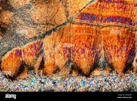 Agate Polarized Light Micrograph Of A Thin Section Through An Agate