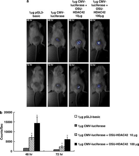 The HDAC Inhibitor OSU HDAC42 Enhanced The Expression Of Genes