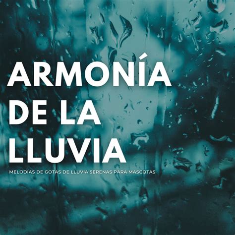 Armonía De La Lluvia Melodías De Gotas De Lluvia Serenas Para Mascotas