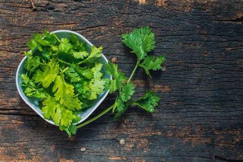 ¿para Qué Sirve El Cilantro ¡descubre Todas Sus Propiedades — Mejor