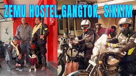 Zemu Hostel Most Affordable Pet Friendly Hygienic Hostel In